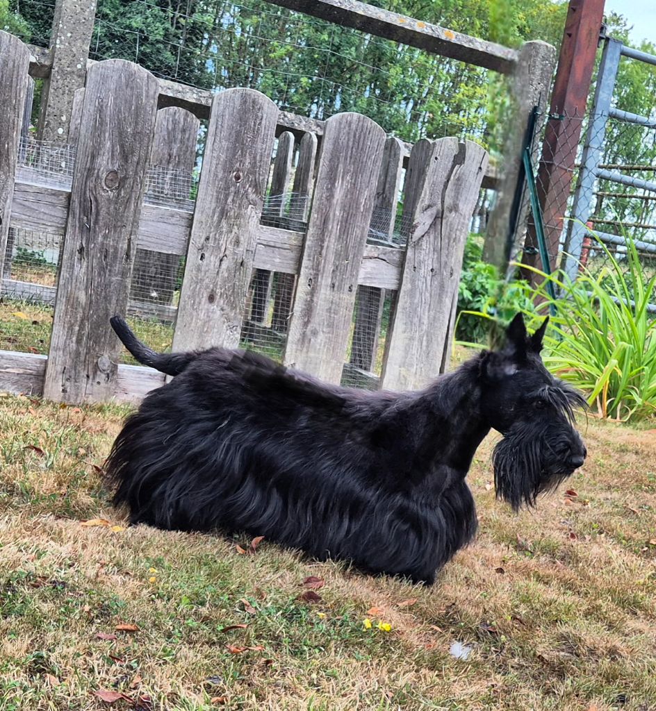 Taylor schilling Du Clos Des Dolls