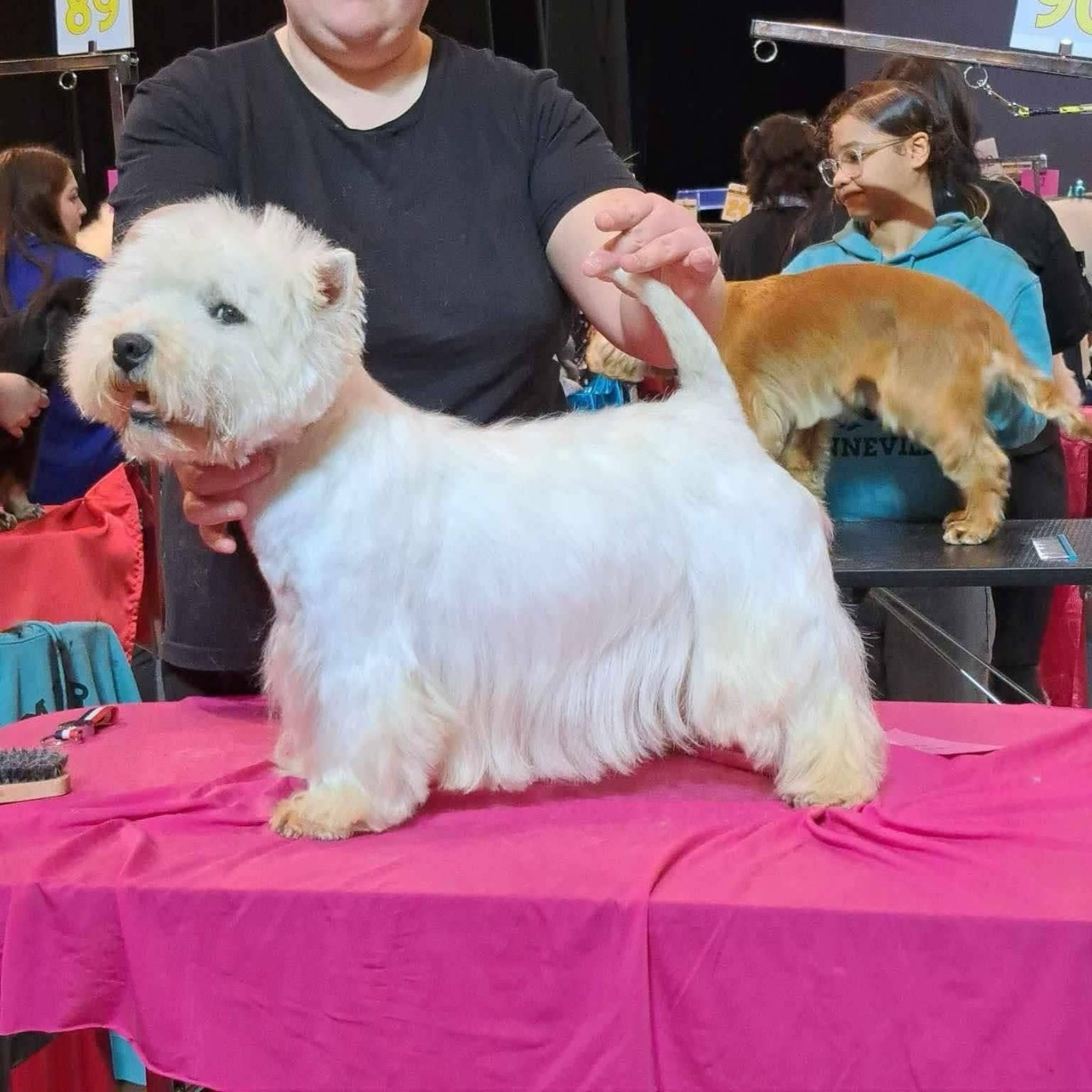 Thelma De La Bergerie Warren